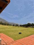 Foto9
