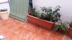 Foto13