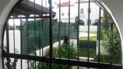 Foto20