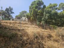 Foto5