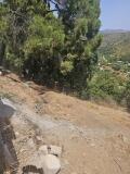 Foto6