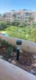 Foto8