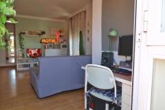 Foto5