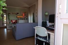Foto8