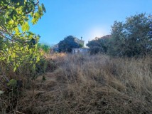 Foto11