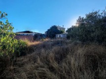 Foto8