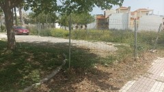 Foto2