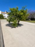 Foto5