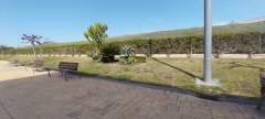 Foto31