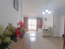 Foto8