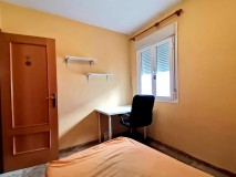 Foto20