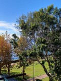 Foto10
