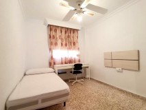 Foto8