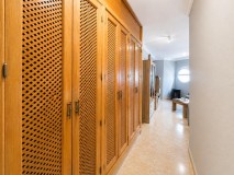 Foto8