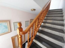 Foto19