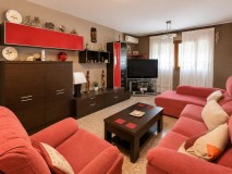 Foto8