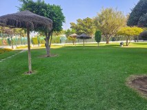 Foto35