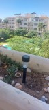 Foto8