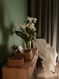 Foto9