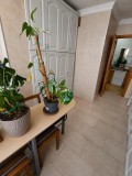 Foto2