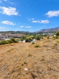 Foto8