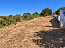 Foto3