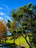 Foto6