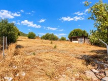 Foto8