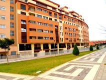 Foto1