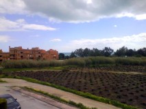 Foto14