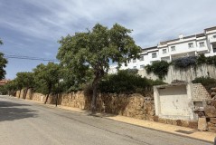 Foto5