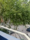 Foto5