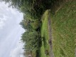 Foto44