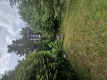 Foto45