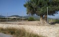 Foto1