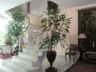 Foto5