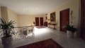 Foto7