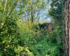 Foto37