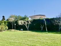 Foto12