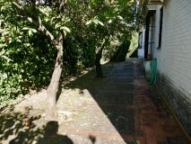 Foto36