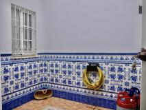 Foto12
