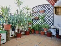 Foto48