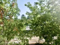 Foto12