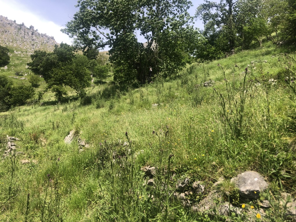 Casa-Chalet en Venta en Mortesante Cantabria - foto 13