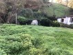 Foto5