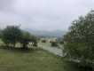 Foto2