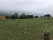 Foto16