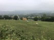 Foto17