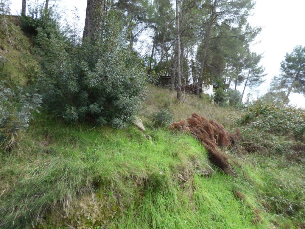terreno urbanizable con impresionantes vistas en castellgalí foto grande (3)