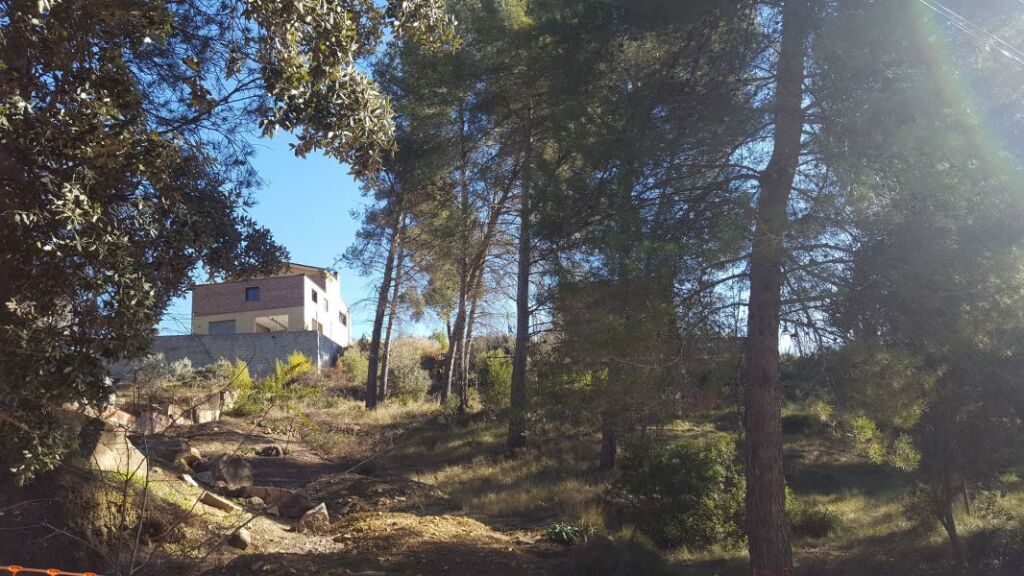 foto de gran oportunidad